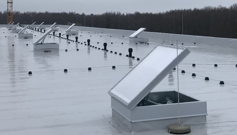 Suitsueemaldusluugid